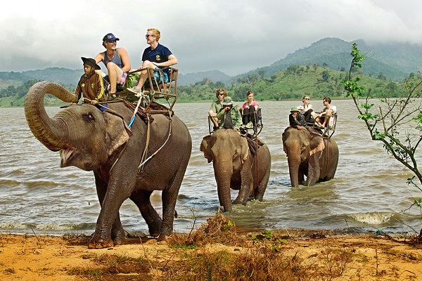 Du lịch Buôn Ma Thuột và cưỡi voi đi dạo