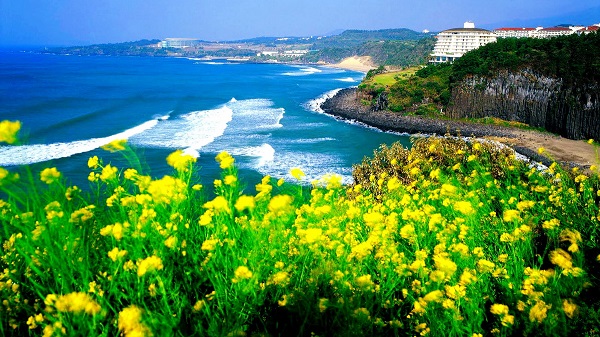 Đảo Jeju (Hàn Quốc)