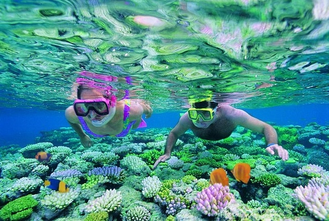 Rạn san hô Great Barrier Reef
