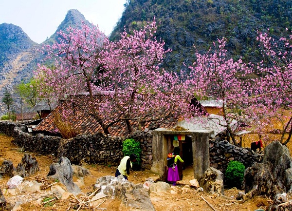 Lập “kèo” tháng 3 lên Hà Giang ngắm trời hoa nở muộn